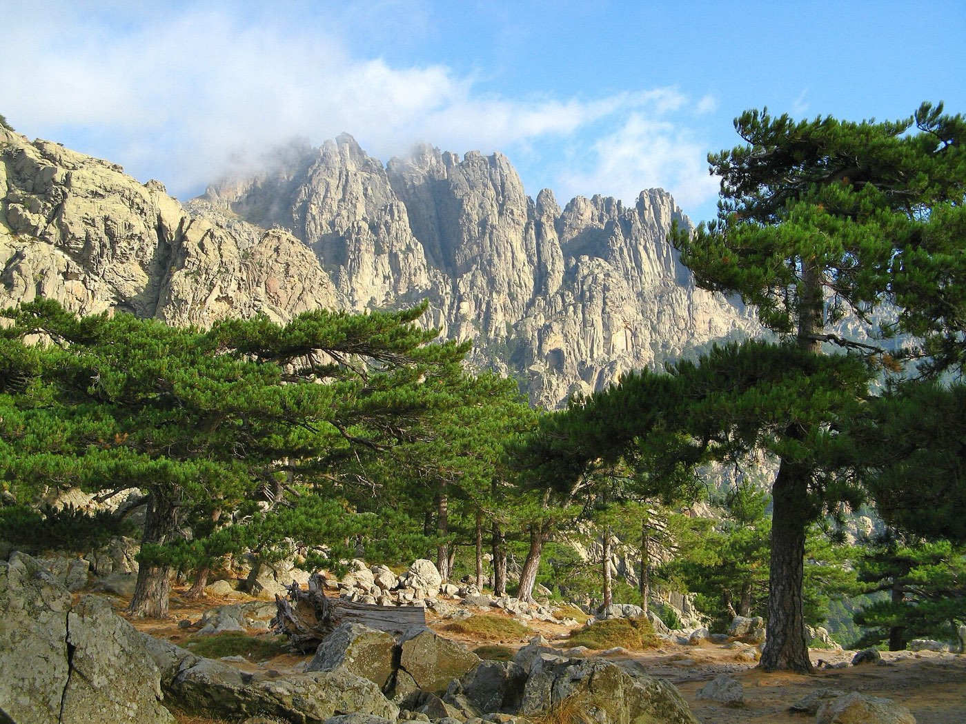 The Bavella needles and laricio pines, Southern Corsica